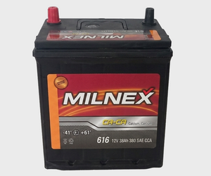 MILNEX 616